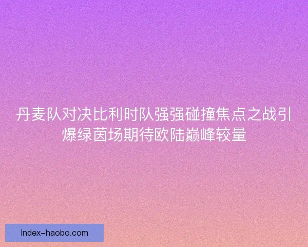 丹麦队对决比利时队强强碰撞焦点之战引爆绿茵场期待欧陆巅峰较量