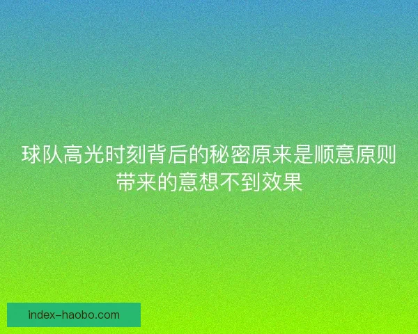 球队高光时刻背后的秘密原来是顺意原则带来的意想不到效果